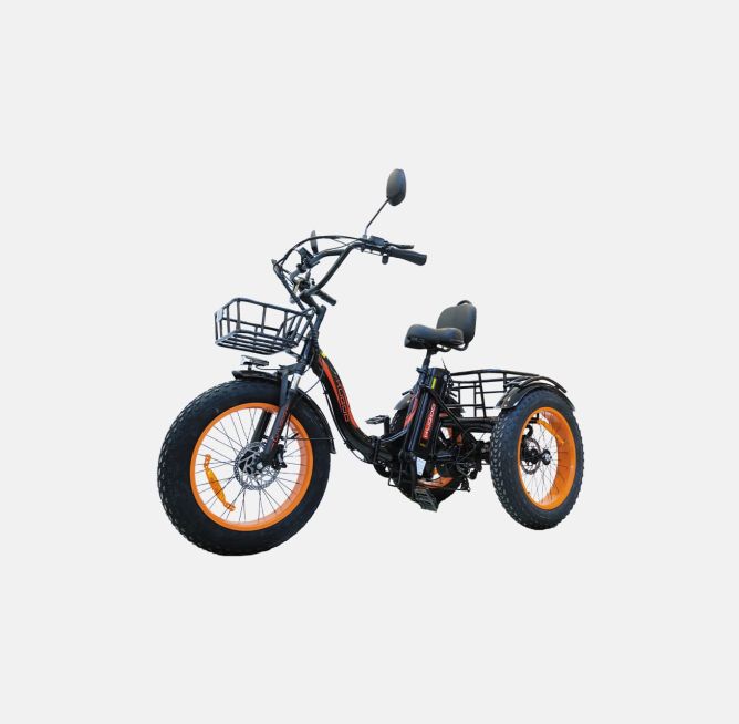 Kugoo Trike